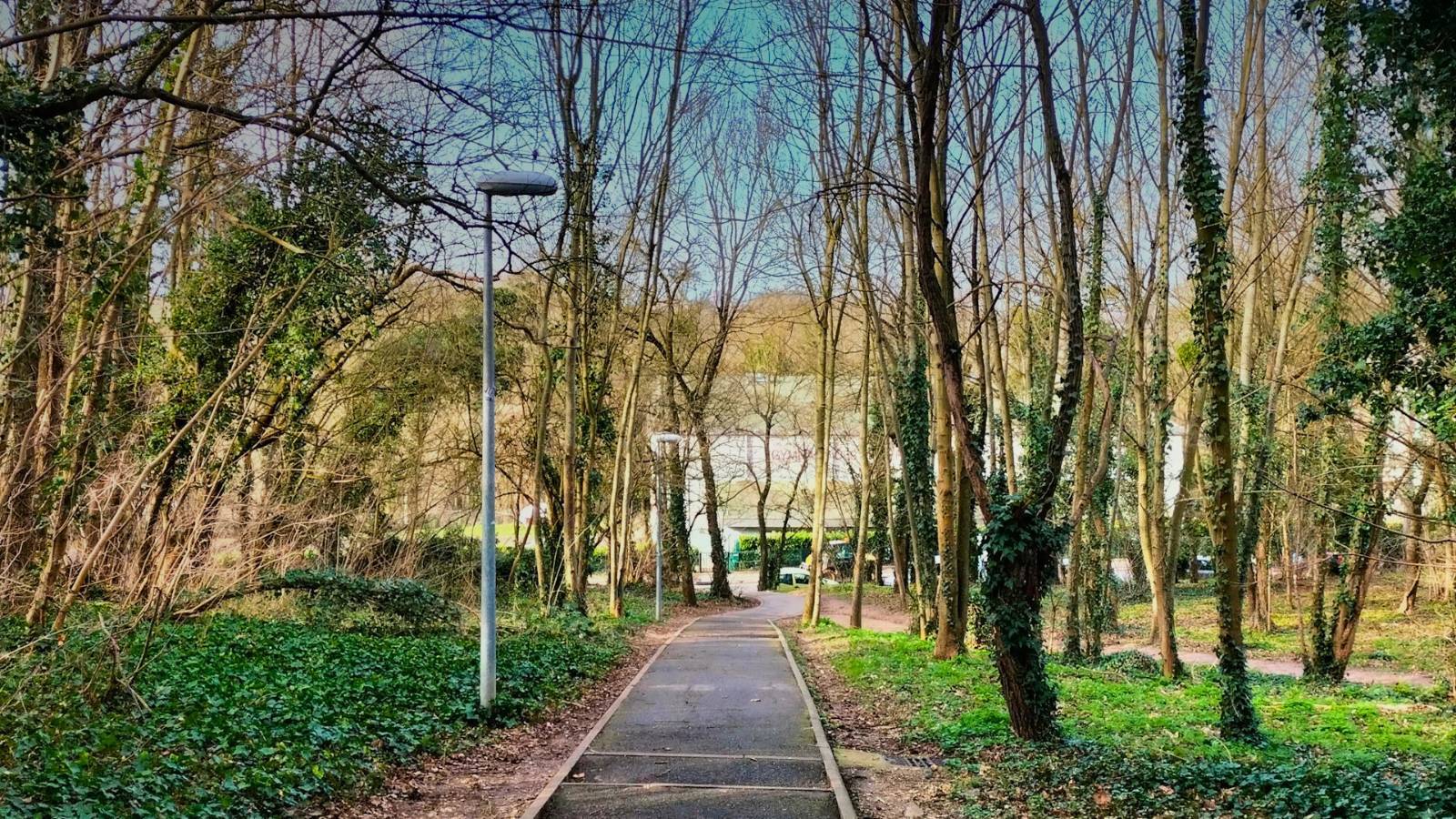 camping-essonne-port-aux-cerise-poi-th